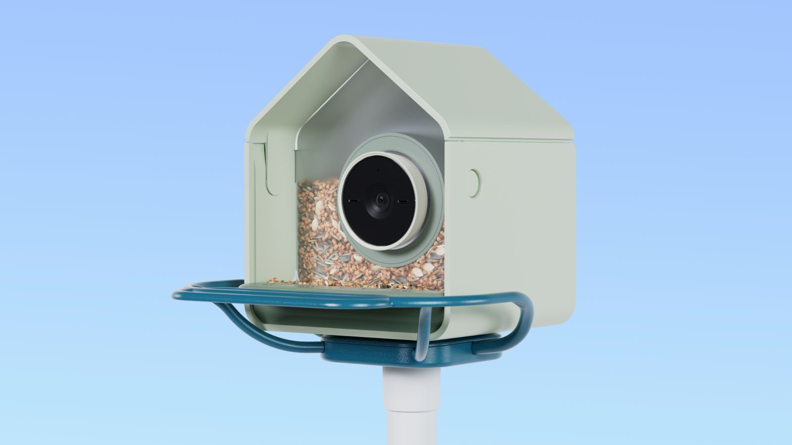 Умная кормушка Birdbuddy научилась распознавать птиц по голосам