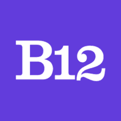 B12.io AI logo