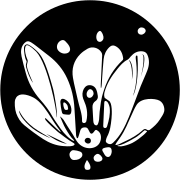 Pollinations AI logo