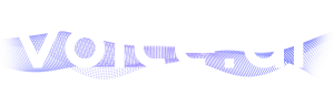 Voice AI AI logo