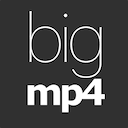 bigmp4 AI logo